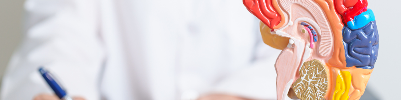 Neurologische Untersuchung zur Förderung der kognitiven Gesundheit in der Reha Brain Health Sprechstunde Zürich.